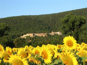 Siena Vecchia Vacanze